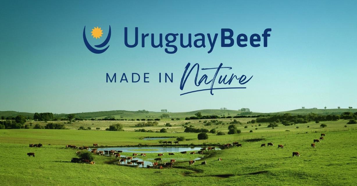 Paysage de pâturage dans la campagne Uruguay Beef Made in Nature